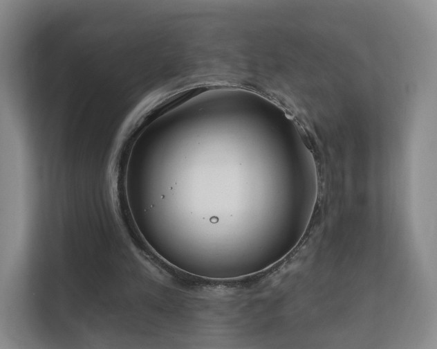 X0000112390197200908201549