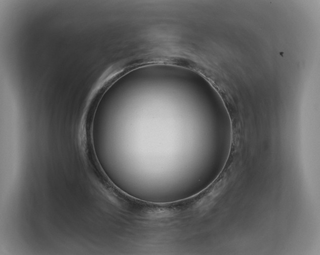 X0000112390198200908201549