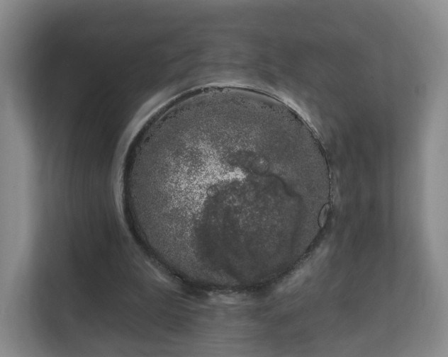 X0000112390199200908201549