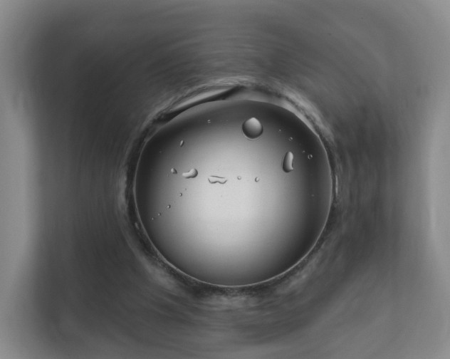 X0000112390201200908201549