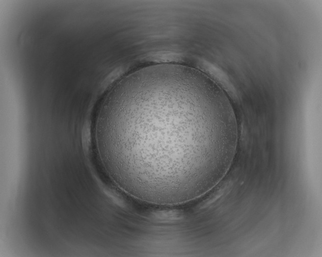 X0000112390202200908201549