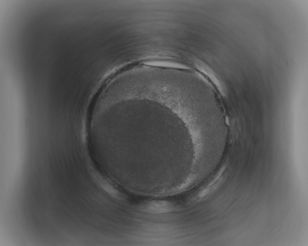 X0000112390203200908201549