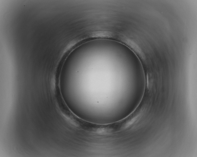 X0000112390204200908201549