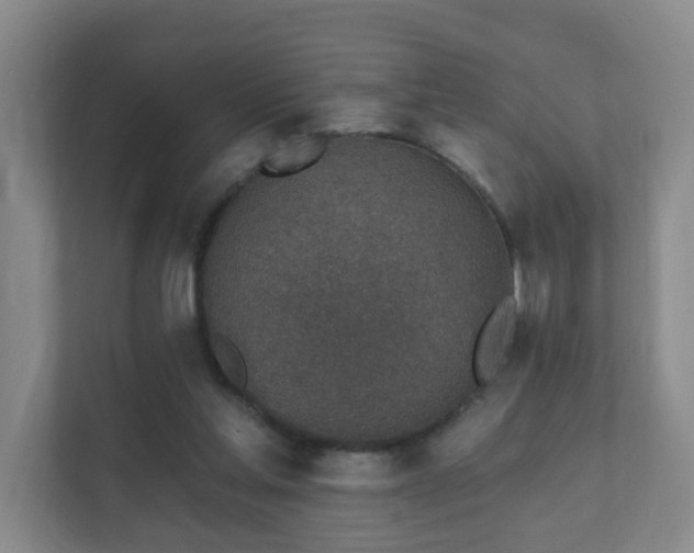 X0000112390205200908201549