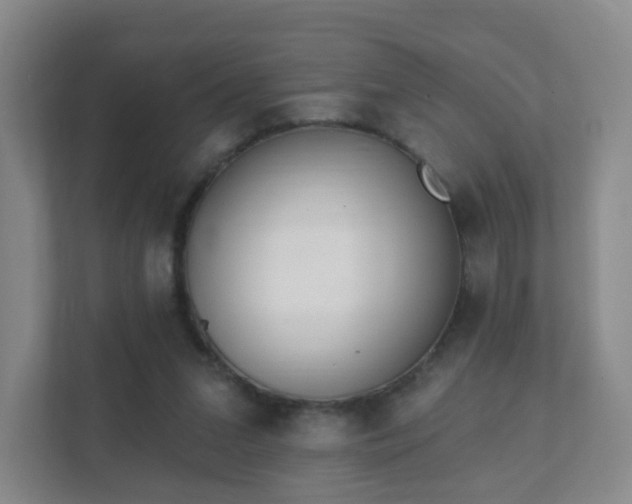 X0000112390207200908201549