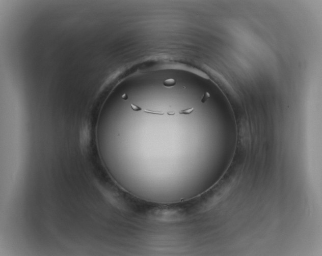 X0000112390208200908201549