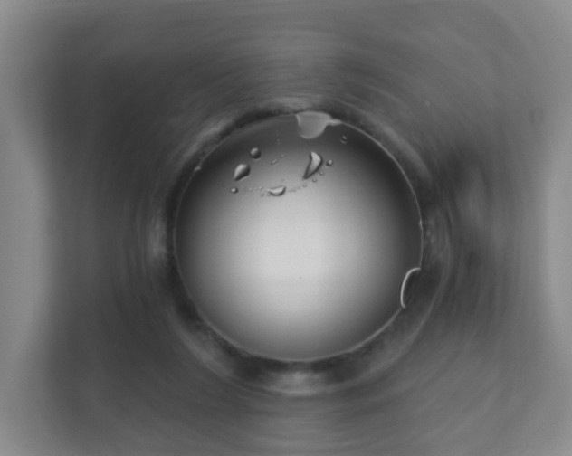 X0000112390212200908201549