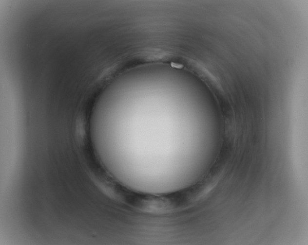 X0000112390215200908201549