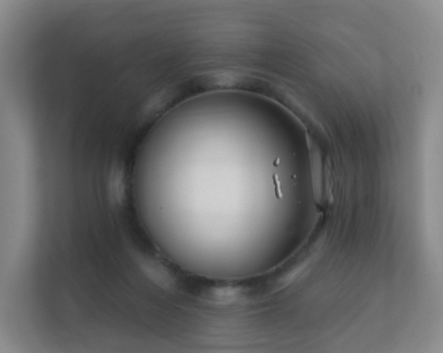 X0000112390216200908201549