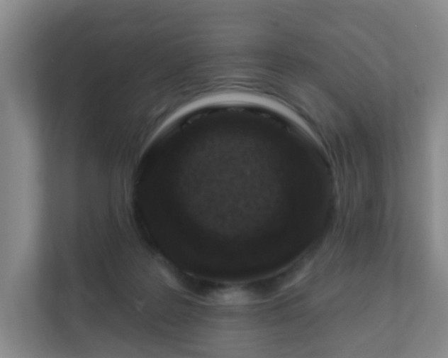 X0000112390219200908201549