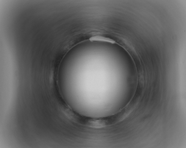 X0000112390221200908201549