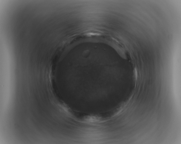 X0000112390223200908201548