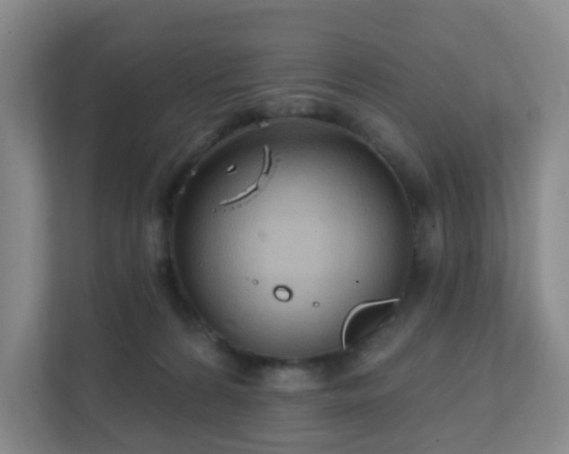 X0000112390224200908201548