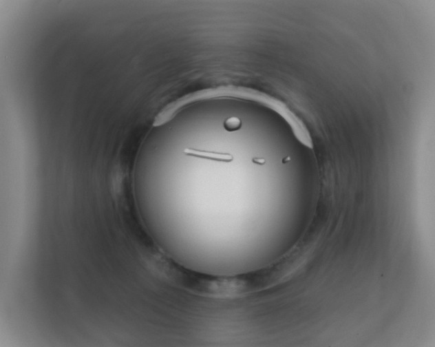 X0000112390225200908201548