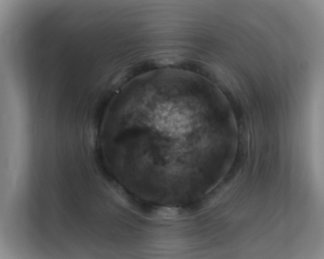 X0000112390227200908201548