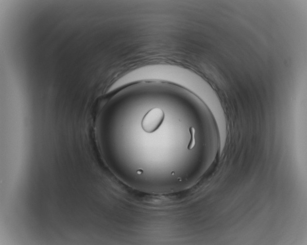 X0000112390229200908201548