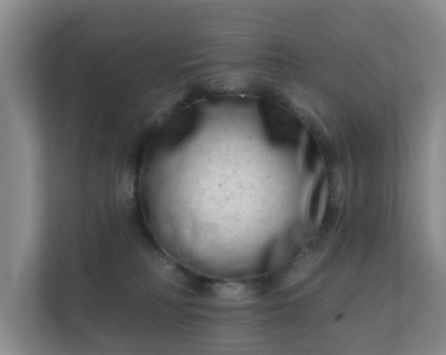 X0000112390230200908201548