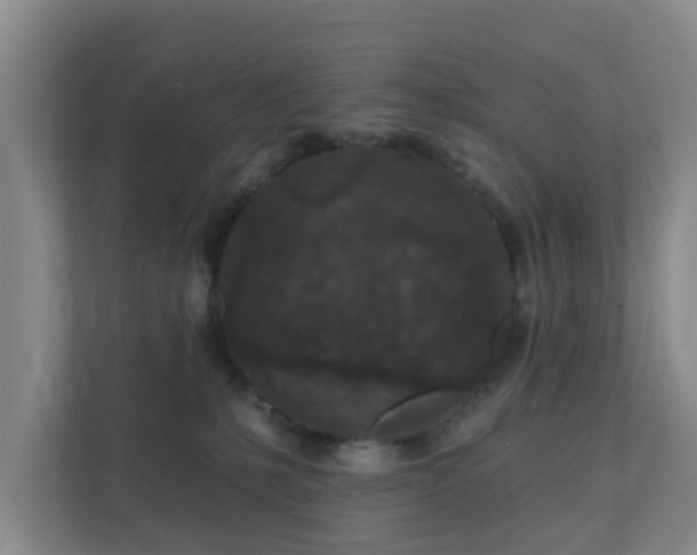 X0000112390231200908201548