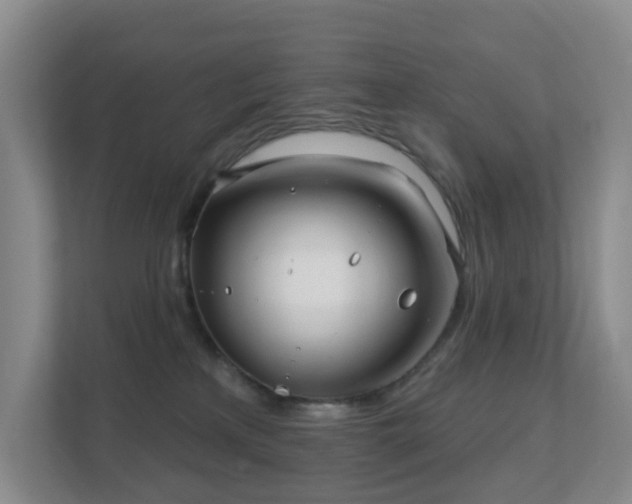 X0000112390233200908201548