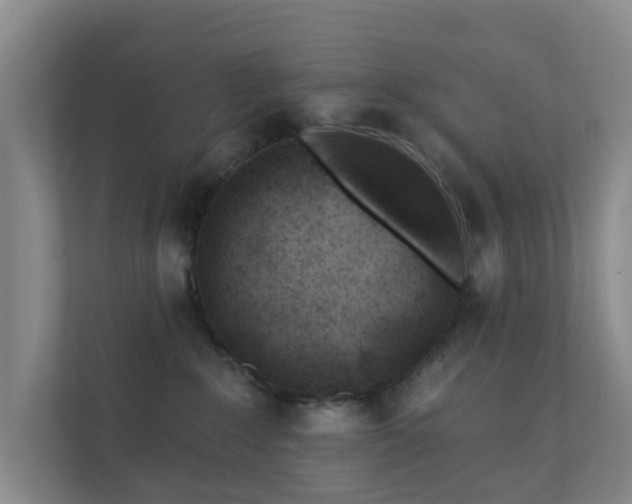 X0000112390235200908201548