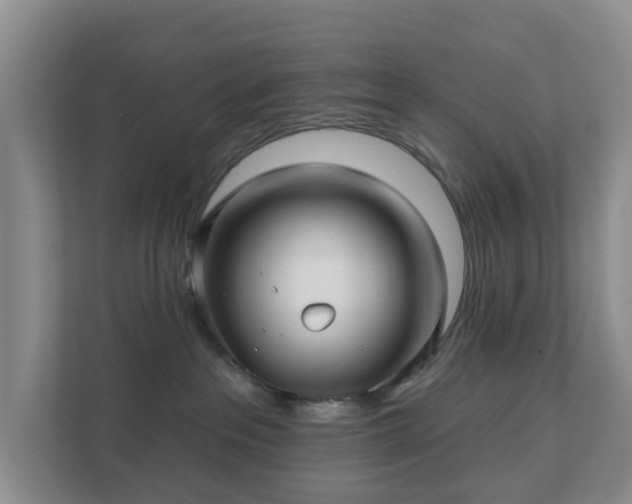 X0000112390237200908201548