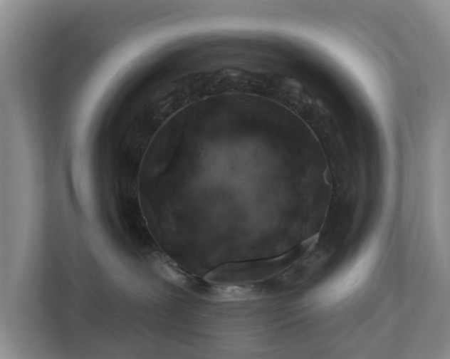 X0000112390239200908201548