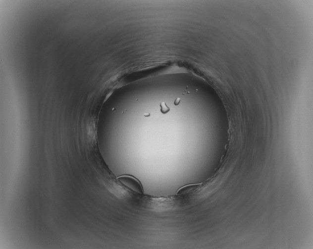 X0000112390240200908201548