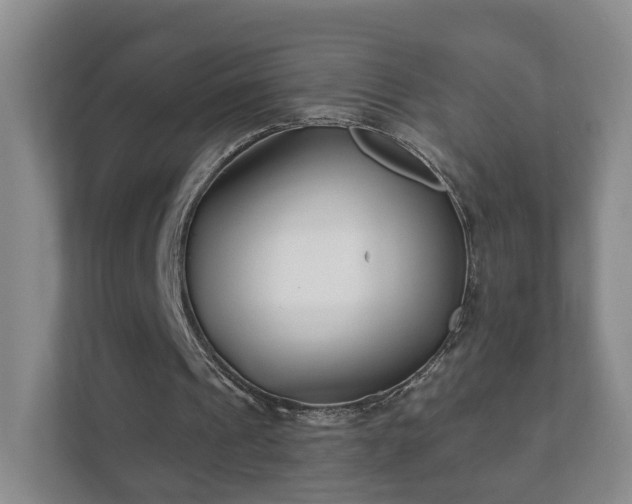 X0000112390241200908201548