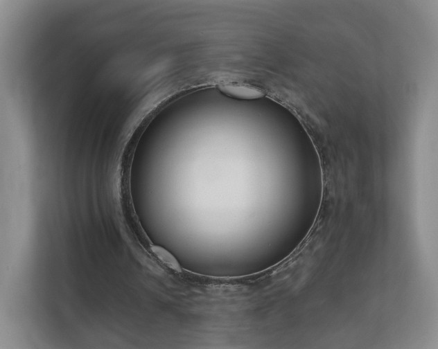 X0000112390242200908201548