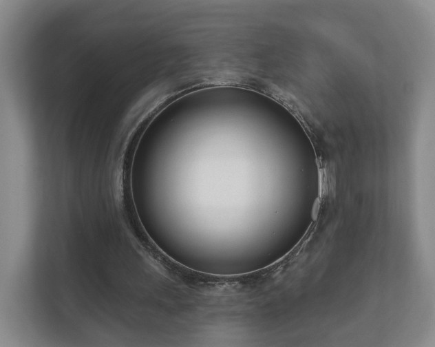 X0000112390243200908201548