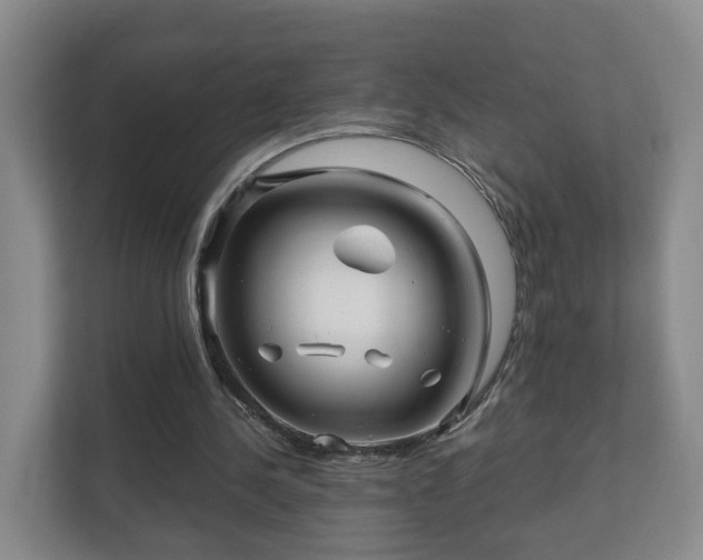 X0000112390244200908201548