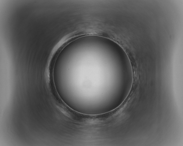 X0000112390246200908201548