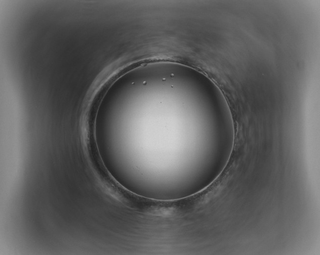 X0000112390247200908201548