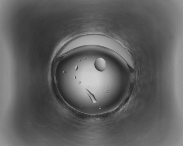 X0000112390248200908201548