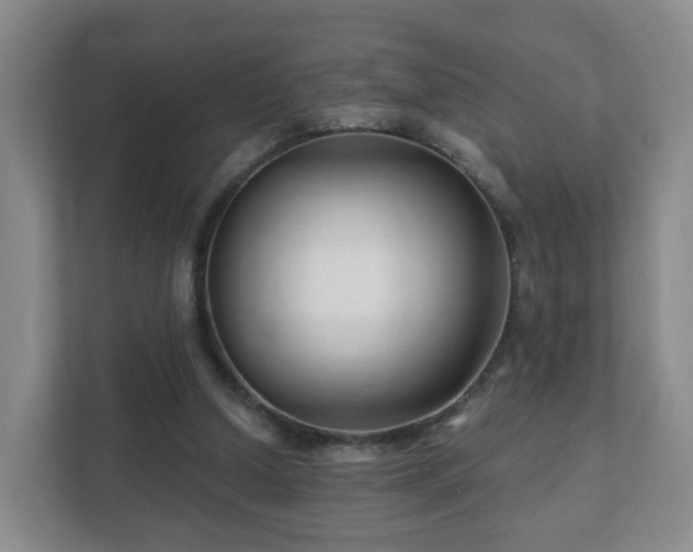 X0000112390250200908201548