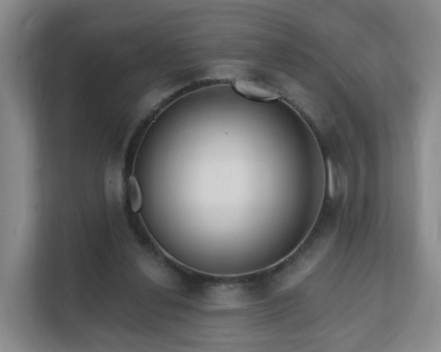 X0000112390252200908201548