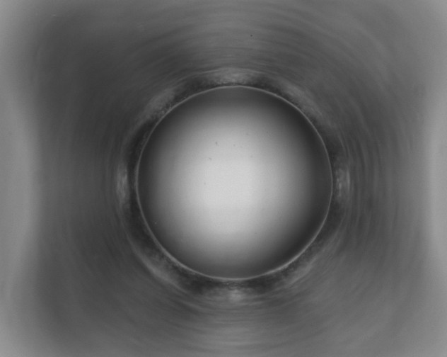 X0000112390254200908201548