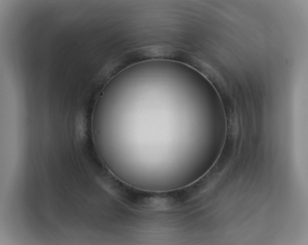 X0000112390255200908201548