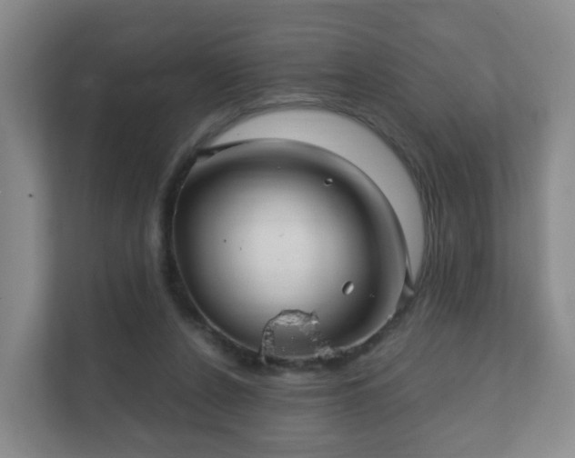 X0000112390256200908201548