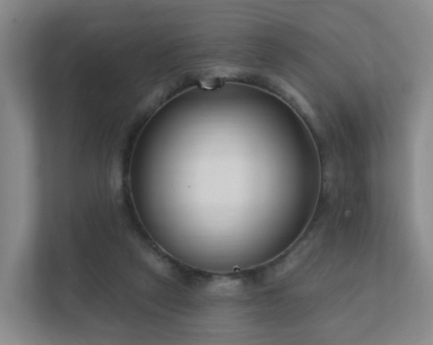 X0000112390257200908201548