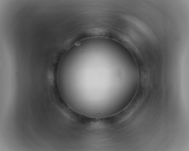 X0000112390259200908201548