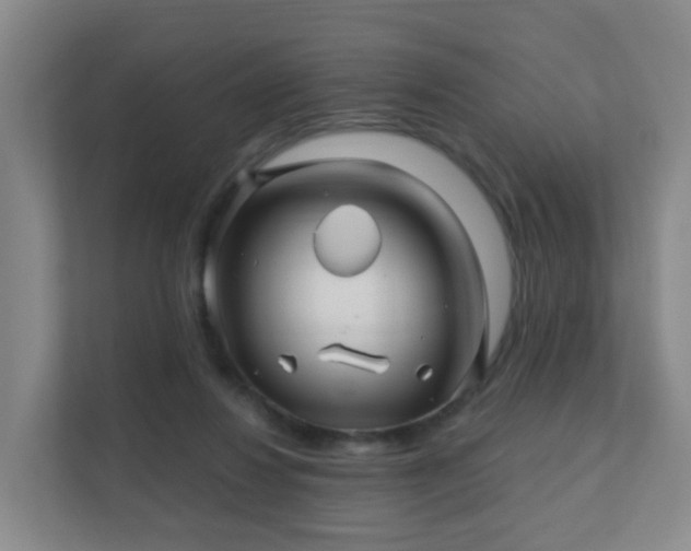 X0000112390260200908201548