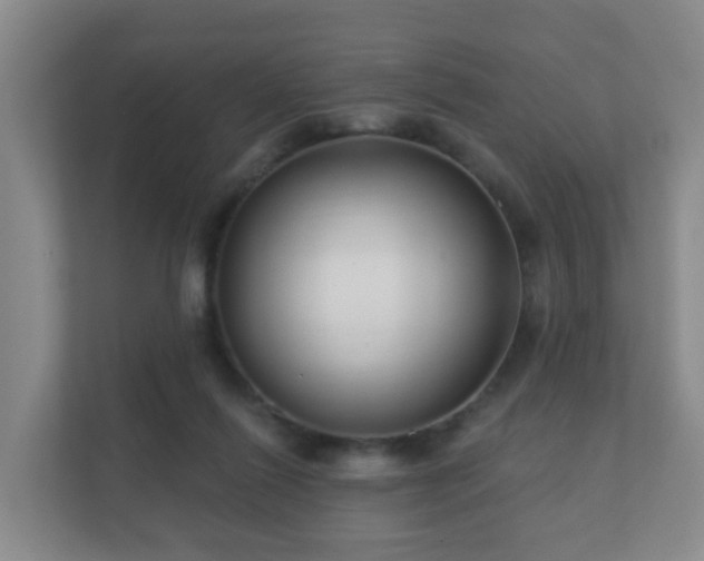 X0000112390262200908201548