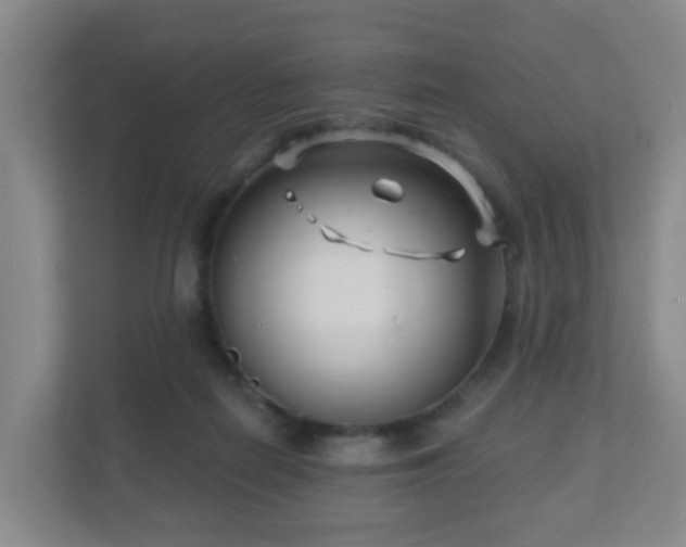 X0000112390266200908201548