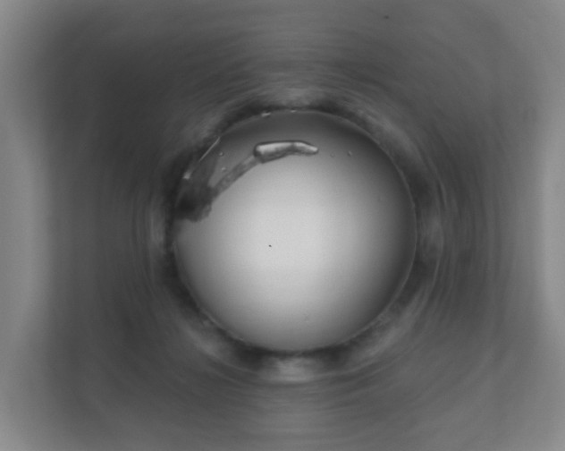 X0000112390268200908201548