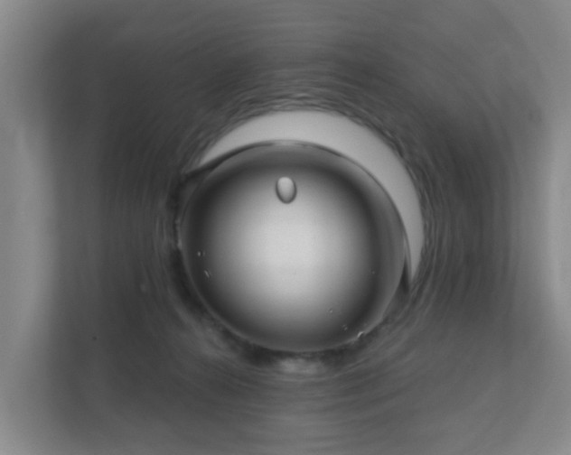 X0000112390272200908201548