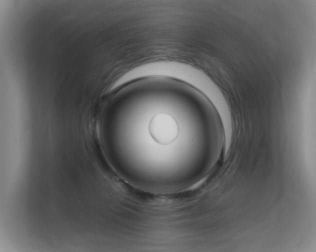 X0000112390276200908201548