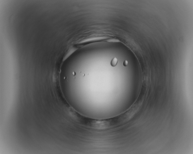 X0000112390277200908201548