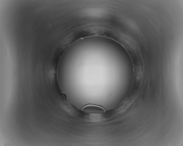 X0000112390279200908201548