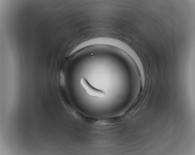 X0000112390280200908201548